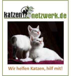 Katzen Adoptieren Saarland